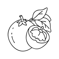 medlar fruit icon, medlar fruit vector illustration-simple illustration of medlar fruit, perfect for medlar fruit logos and icons