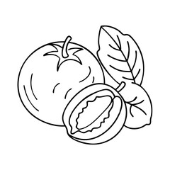 medlar fruit icon, medlar fruit vector illustration-simple illustration of medlar fruit, perfect for medlar fruit logos and icons