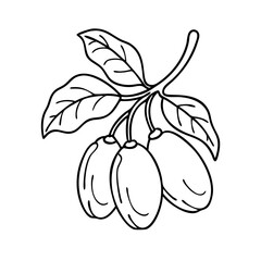 miracle fruit icon, miracle fruit vector illustration-simple illustration of miracle fruit, perfect for miracle fruit logos and icons