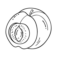 nectarine fruit icon, nectarine fruit vector illustration-simple illustration of nectarine fruit, perfect for nectarine fruit logos and icons