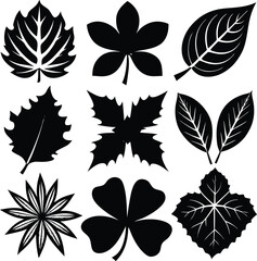 Naklejka premium Collection of Black Silhouette Leaf Designs with Diverse Shapes and Styles 