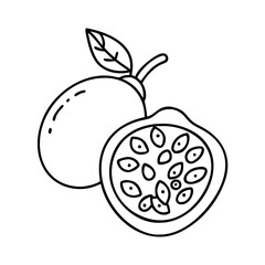 passion fruit icon, passion fruit vector illustration-simple illustration of passion fruit, perfect for passion fruit logos and icons