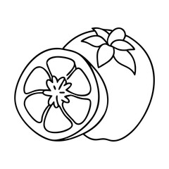persimmon fruit icon, persimmon fruit vector illustration-simple illustration of persimmon fruit, perfect for persimmon fruit logos and icons