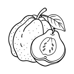 quince fruit icon, quince fruit vector illustration-simple illustration of quince fruit, perfect for quince fruit logos and icons