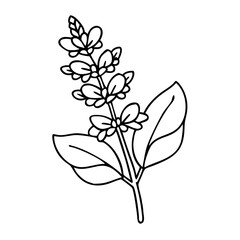 salvia flower icon, salvia flower vector illustration-simple illustration of salvia flower, perfect for salvia flower logos and icons