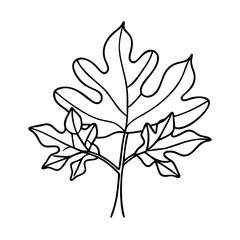 sassafras tree icon, sassafras tree vector illustration-simple illustration of sassafras tree, perfect for sassafras tree logos and icons