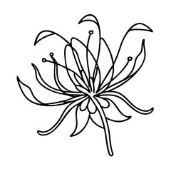 spider lily flower icon, spider lily flower vector illustration-simple illustration of spider lily flower, perfect for spider lily flower logos and icons