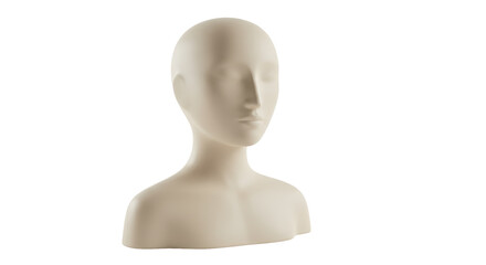 Isolated Female Mannequin Head