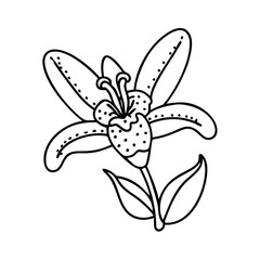 toad lily flower icon, toad lily flower vector illustration-simple illustration of toad lily flower, perfect for toad lily flower logos and icons