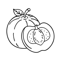 white sapote icon, white sapote vector illustration-simple illustration of white sapote, perfect for white sapote logos and icons