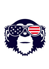 singe tete lunette de soleil couleur drapeau americain