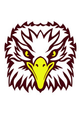 tete aigle oiseaux sauvage