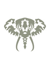 tete elephant animaux sauvage