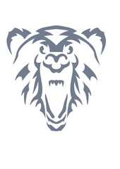 ours animaux sauvage dessin