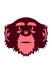 singe animaux sauvage dessin