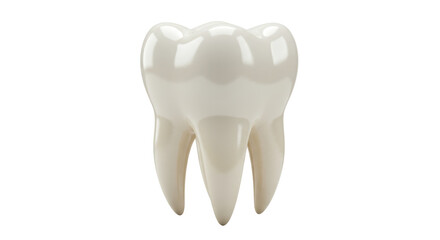 Isolated Tooth Model