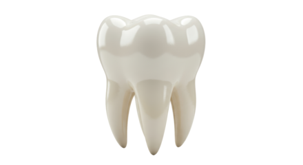 Isolated Tooth Model