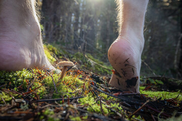 Human feet of an adult male walking barefoot in a forest as a form of grounding and connection to the earth.