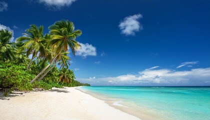 Obraz premium a serene tropical beach lined with tall palm trees and lush greenery featuring pristine white sand and clear turquoise water under a bright blue sky with scattered clouds