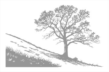 White Grungy Hill Texture Background.