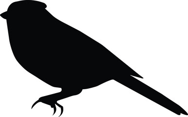 Cardinal Silhouettes Illustration