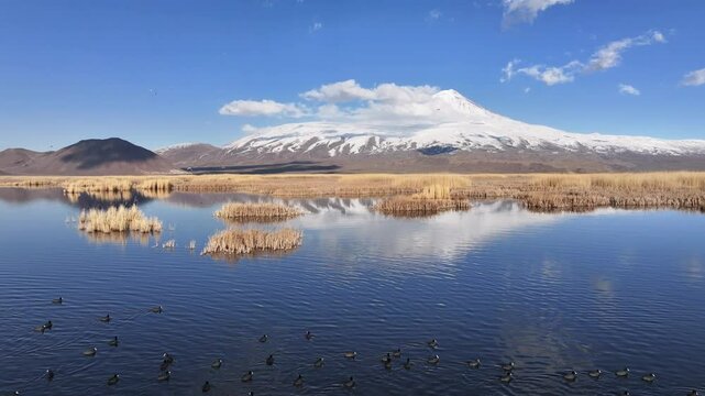 Agri Mountain Lake Bird Sanctuary Reflections, Spectacular Birds Landscapes Drone Video, Dogubeyazit Agri, Turkiye (Turkey)