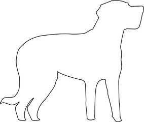vector image of a dog