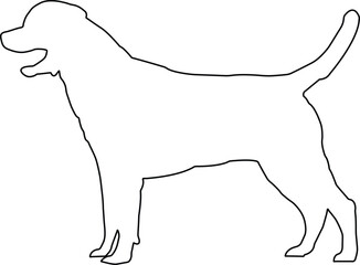 Golden Retriever Dog vector Illustration with white background