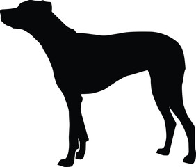 Greyhound black silhouette