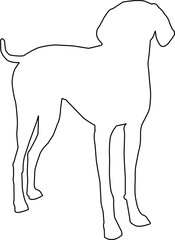 Labrador Outline Vector Images