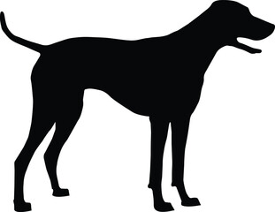 A black and white drawing of a dog