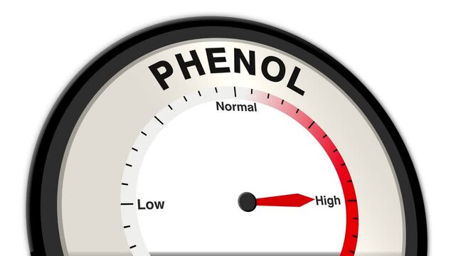 Phenol text or word displayed with a barometer or tachometer-style gauge showing levels from low to normal to high, symbolizing the chemical's potential impact on health and the environment