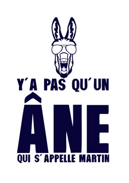 y a pas qu un ane qui s appelle martin humour citation