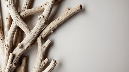 Fototapeta premium Unique Natural Driftwood Texture in an Artistic Arrangement on a Light Background for Stylish Home Décor and Design Inspiration