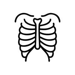 ribs