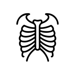 ribs