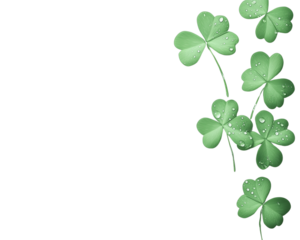 Realistic clover leaves with water droplets isolated on transparent background