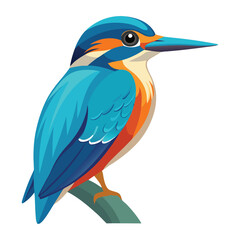 Fototapeta premium kingfisher bird vector illustration design.