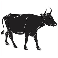 black and white cow