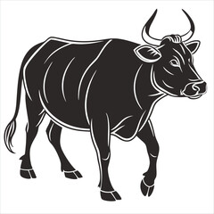 black and white cow