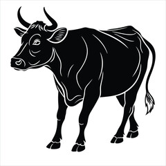 vector illustration of a cow