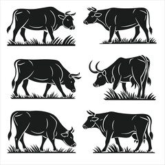 set of black and white cows