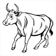 black and white vector illustration of a cow