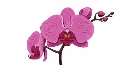 Vibrant pink orchid flower artistic representation with bold colors