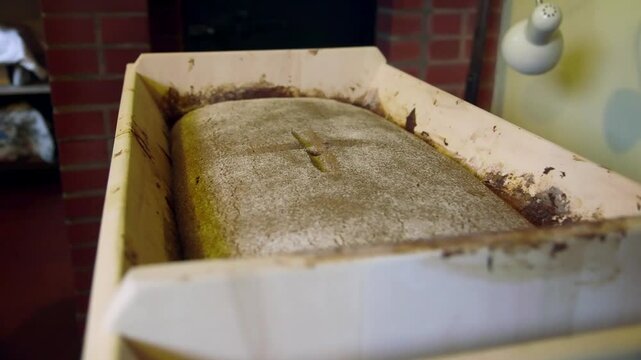 Old Style Wooden Bread Trough with a Dough of Loaf of Bread Before Baking. Bread Trough, Dough Trough, Kneading Trough or Artesa, is a Rectangular Receptacle with a Shallow Basin for Bread Making