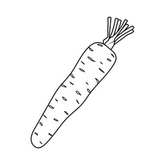 Minimalist line art illustration of a carrot with crisp, clean outlines. Perfect for culinary design, packaging, web graphics, and print materials, offering a modern, fresh look for food-related 