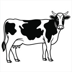 cow on a white