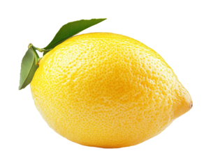 Harvesting fresh lemons farm food outdoors isolated on transparent background, png