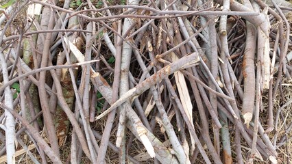 A pile of dead tree branches texture background