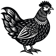 Adobe Illustrator ArtworkChicken Vector Illustration in Pen and Ink Isolated on White